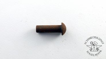 Halbrundnieten Stahl 9,5x22 mm