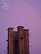 Regenbogen