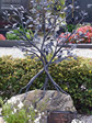 Baum