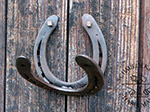 Hufeisen-Halter