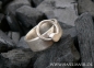 Preview: Ring der O/SM-Ring