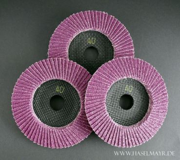 Trimfix Black Mamba Fächerschleifscheibe 100 x 16,2 mm K 40 40 Stück