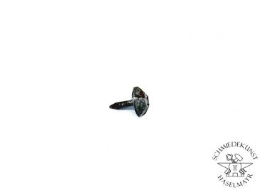 Sohlennagel  Pilzschaft RKW 2x13 mm