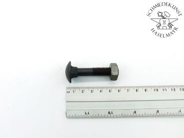 Schloßschraube M10x50  mit Sechskantmutter