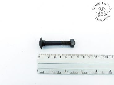 Schloßschraube M8x55  mit Sechskantmutter