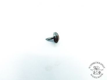 Sohlennagel  2x10 mm mit Kopf 8 mm rostig