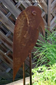 Rabe mit Patina
