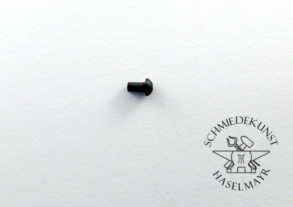 Halbrundnieten Stahl 3x5 mm