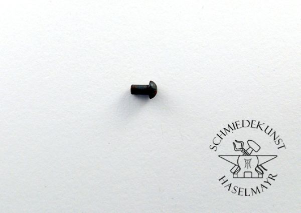 Halbrundnieten Stahl 3x25 mm