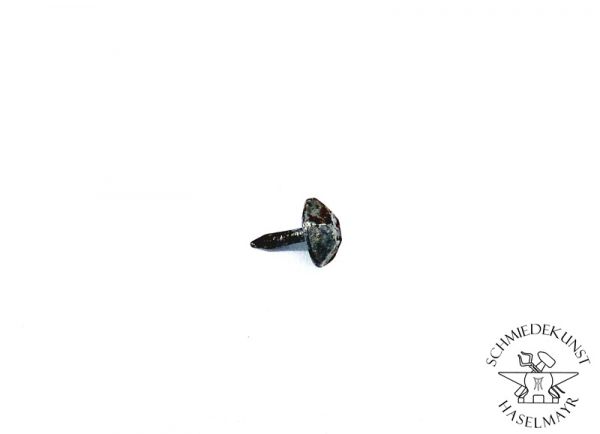 Sohlennagel  Pilzschaft RKW 2x13 mm