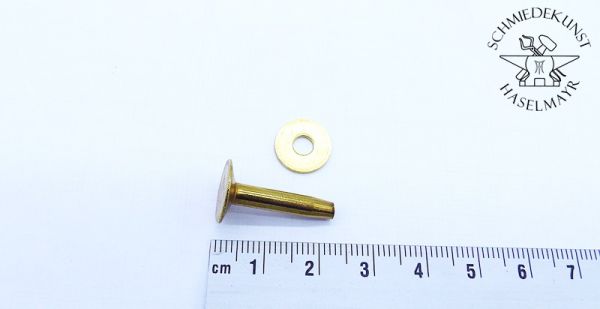 Niete Messing 12x9 mm