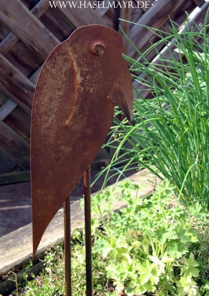 Rabe mit Patina