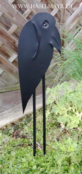 Rabe Schwarz