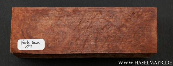 York Gum Nr. 11